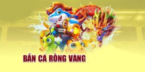 Bắn Cá Rồng Vàng VM88 mở ra thế giới đại dương đáng chinh phục