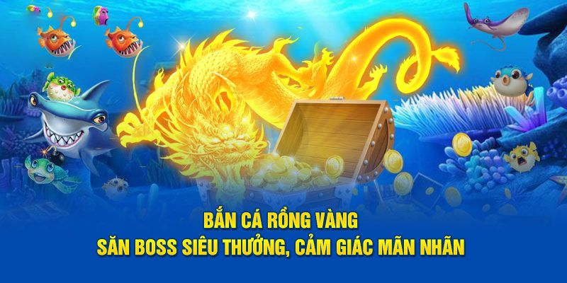 Cách tham gia săn cá rồng vàng siêu dễ