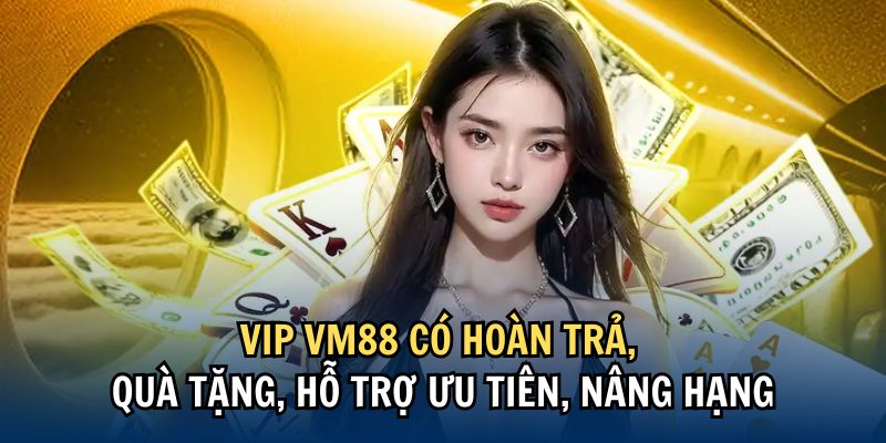 VIP VM88 có hoàn trả, quà tặng, hỗ trợ ưu tiên, nâng hạng