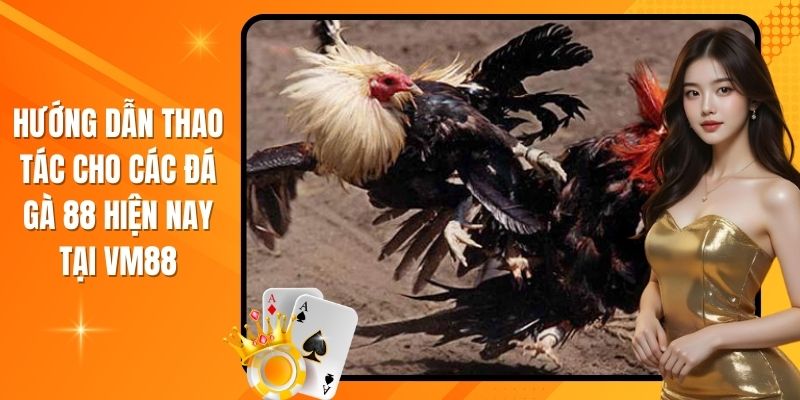 Chỉ dẫn các thao tác thực hiện ở đá gà 88